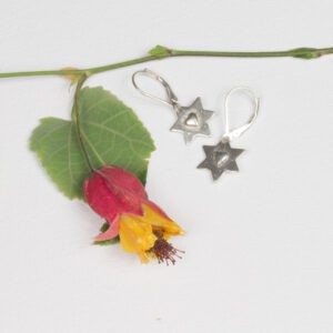 earrings with 6 pointed sterling silver stars and small raised hearts in center